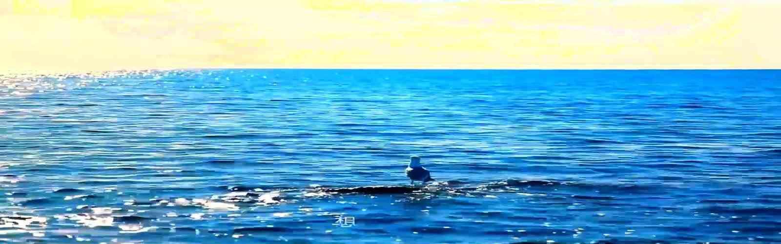 来利国际旗舰厅